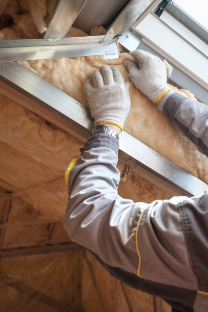 Best Commercial Insulation in Hawthorne, FL