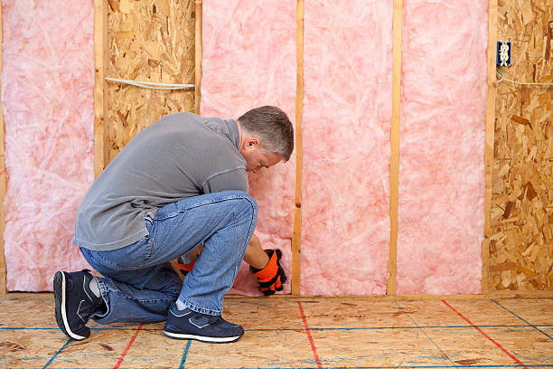 Best Types of Insulation in Hawthorne, FL